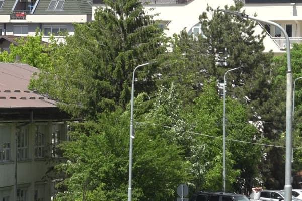 Erëra të forta në Prishtinë, Fushtica: S’ka arsye për panik